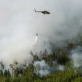 В МЧС России назвали основную причину пожаров в Сибири