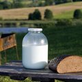 Эстонские производители молока пока не собираются бастовать в Брюсселе