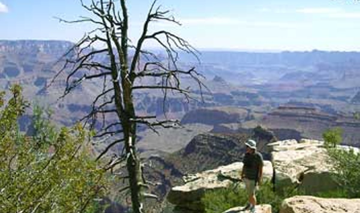 VÕIMAS: Suure Kanjoni kõrval tasub külastada ka Kuningakanjonit, mis arvatavasti on üks maalilisemaid paiku kogu Ühendriikides. Kõrguste vahe ulatub 2400 meetrini.