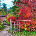 ФОТО | Осенняя красота: как выглядит настоящий японский сад на севере Литвы