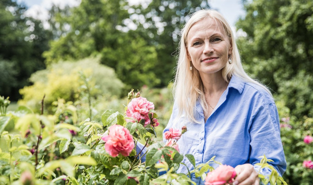 Katrin Ruitlane-Rütli kasvatab oma aias ligi tuhandet roosi. Eri toitudesse sobivad erinevad sordid.
