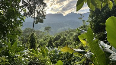 REISIKIRI | Kohvimaa Colombia, kus päike tõuseb ja loojub alati kell kuus
