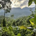 REISIKIRI | Kohvimaa Colombia, kus päike tõuseb ja loojub alati kell kuus