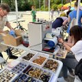 ФОТО | "Янтарные выходные" в Паланге: туристы не жалеют денег на украшения из янтаря, трехзначные суммы — это только начало