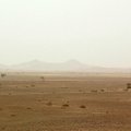 Nigeri kõrbest leiti 87 janusse surnud migrandi lagunenud surnukehad