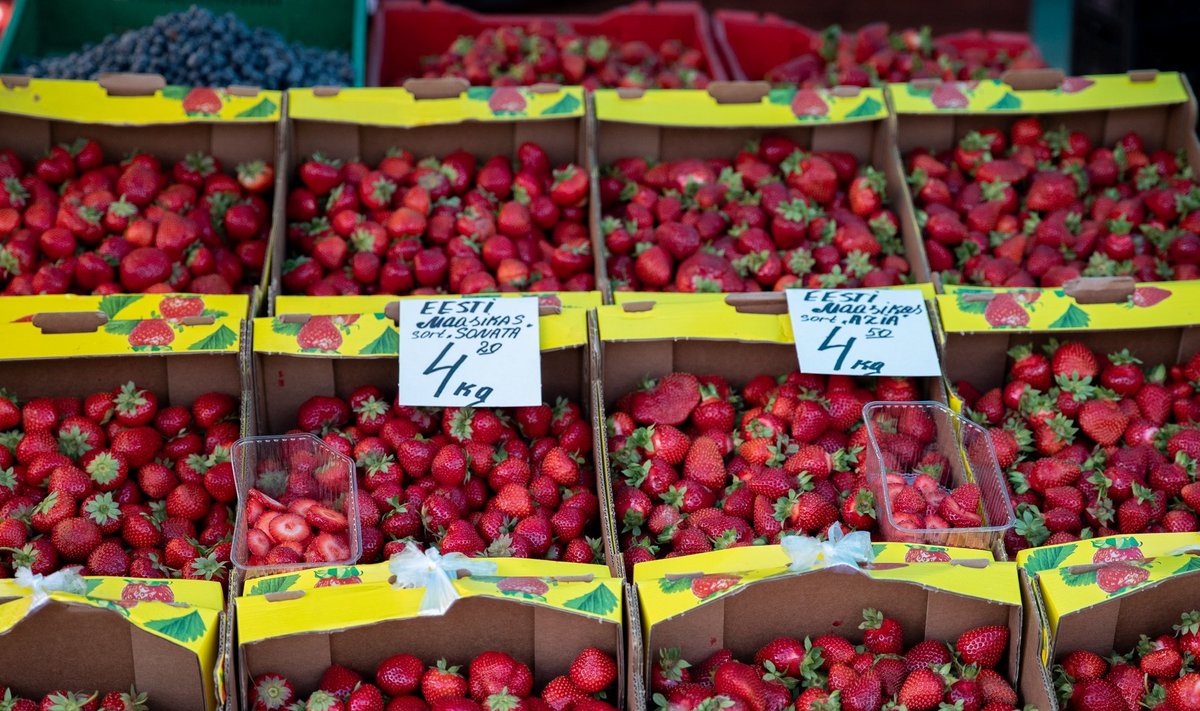 Maasika hind keskturul