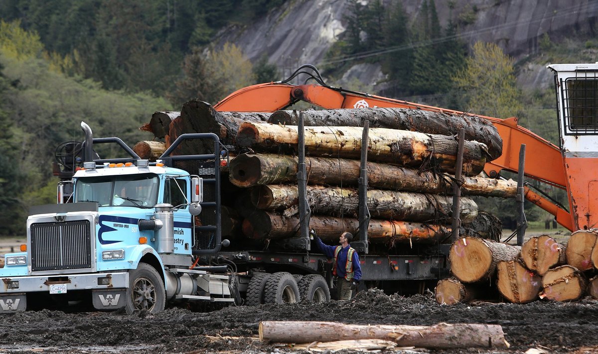 Trumpi väitel on Kanada puit riiklikult subsideeritud ligi viiendiku ulatuses, mistõttu ta lajatas imporditavale puitmaterjalile 20% tollimaksu. Fotol laaditakse palke veoautole Briti Columbia provintsis Kanadas.