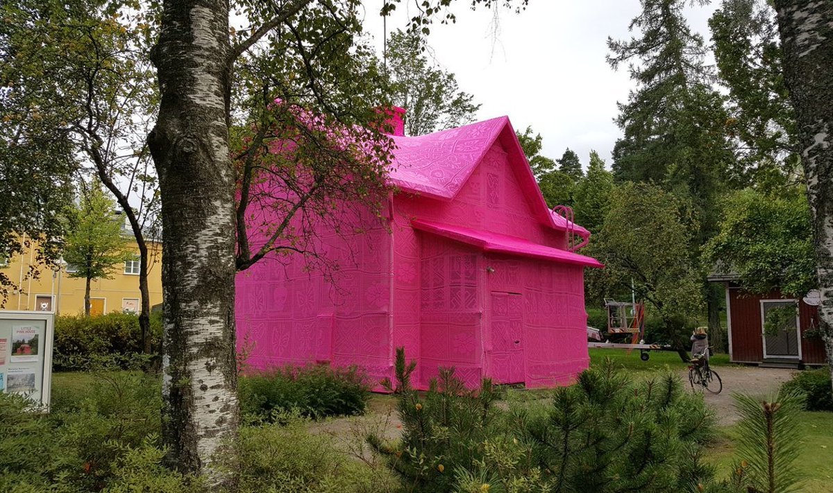 Roosa kampsuniga maja. 