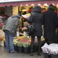 DELFI FOTOD: Viru tänava lillemüüjatel naistepäeval tööd jätkub: popimad lilled on tulbid ja roosid