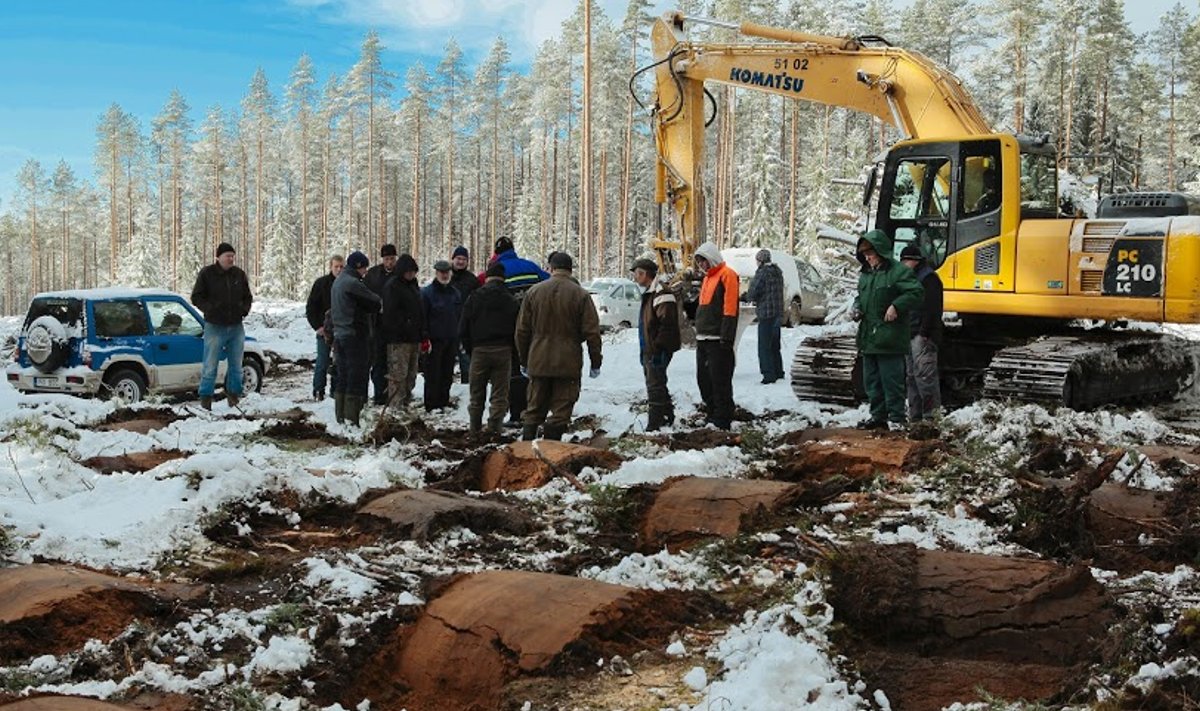 Maapinna n-ö mätastamine Virumaa Metsaühistus. Eestis veel vähe kasutatud maapinna ettevalmistamise viis enne sinna metsataimede istutamist. Aga näib olevat üsna tõhus.