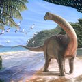 „Tibukesed põrgust“: teadlased on avastanud uue dinosauruseliigi