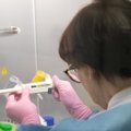 Обзорное исследование: ни одного больного коронавирусом в Эстонии не обнаружено