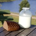 Piimasuhkrut ei talu umbes veerand Eesti täiskasvanuist