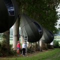 ФОТО | Необычный отель "Плачущий лес" в Бельгии: туристы ночуют в палатках, которые "растут" на деревьях