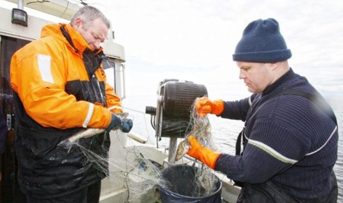 Keskkonnainspektsiooni  töötajate puhastusaktsioon Peipsi järvel. Inspektorid  Vatslovas Budrikas ja  Meelis Ludvig korjavad  järjekordsest  nakkevõrgust  kalu välja. 