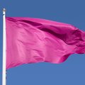 „See võib olla roosa lipp!“ Need on häirivad märgid suhetes, millele tuleks osata lahendus leida