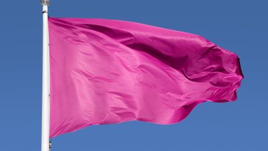 „See võib olla roosa lipp!“ Need on häirivad märgid suhetes, millele tuleks osata lahendus leida