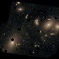 Miski tapab galaktikaid meie universumi kõige äärmuslikumates piirkondades