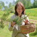 Taimetark Metsamoor hakkab Eesti esimest ravimtaime-eliksiiri tootma