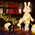 Не пропустите! Встречаем Китайский Новый год грандиозным шоу в квартале Ротерманни