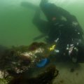 ФОТО и ВИДЕО | Ученые Морского музея Эстонии исследуют останки 20-метрового парусного судна, обнаруженного близ Кадриорга