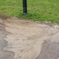 ФОТО и ВИДЕО | Небольшой потоп. В парке Кадриорг прорвало трубу
