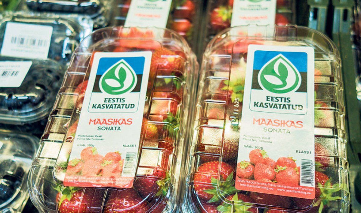 Logoga “Eestis kasvatatud”, Tartumaalt Pärna talust pärit suured punased maasikad on eelmisest nädalast Rimides müügil. 