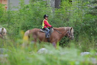 Lapsed sõitsid rahvusvahelise ajakirjanikkonna saabudes hobustega läbi metsa
