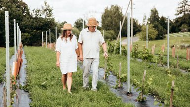 Gastronoomialooming ja kohalikud loodusannid on meisterlikult ühendatud Gauja rahvuspargis