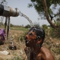 India ligi 50-kraadine kuumus on tapnud pea 800 inimest