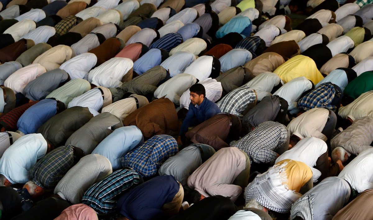 Hulk muslimeid palveasendis.