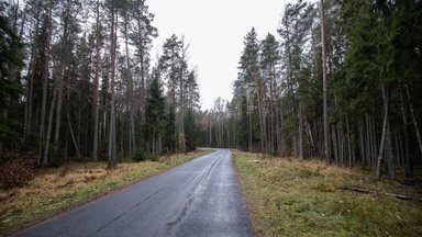 Tallinna külje all viisid kolm meest võhivõõra ohvri metsa ja peksid ta vaeseomaks