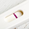 Работница клуба перечислила самые странные забытые гостями вещи