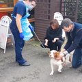 LIIGUTAV VIDEO | Röövitud koer pääseb 6 aastat hiljem pere juurde tagasi