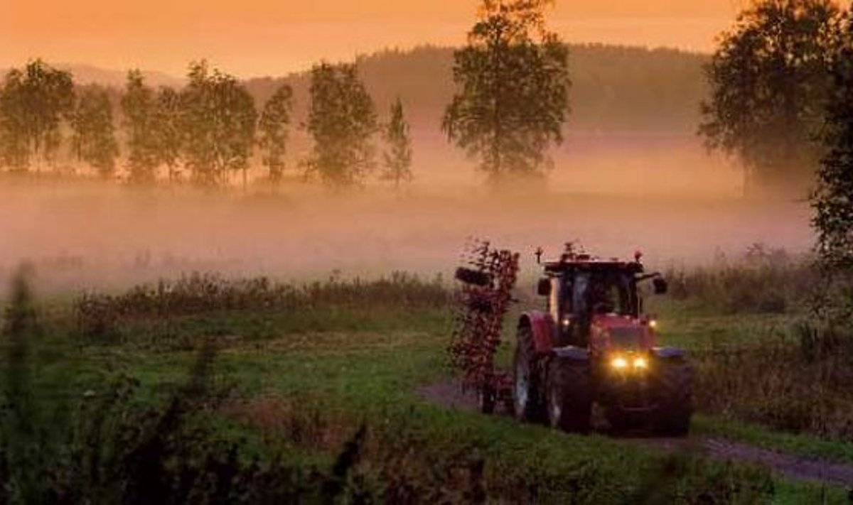 Riikliku arengukava toetustega on põllumajandustootjad PRIA andmetel ostnud aastatel 2004–2008 kõige enam Valtra traktoreid (kokku 50). Teisel kohal on Deere’id (48) ja kolmandal New Hollandid (30). MTZ-tüüpi traktoreid on soetatud 16, Deutz Fahre 10, Manitou MLT 8, Fendte 6, Claase 4. Teisi marke on muretsetud üksikuid.