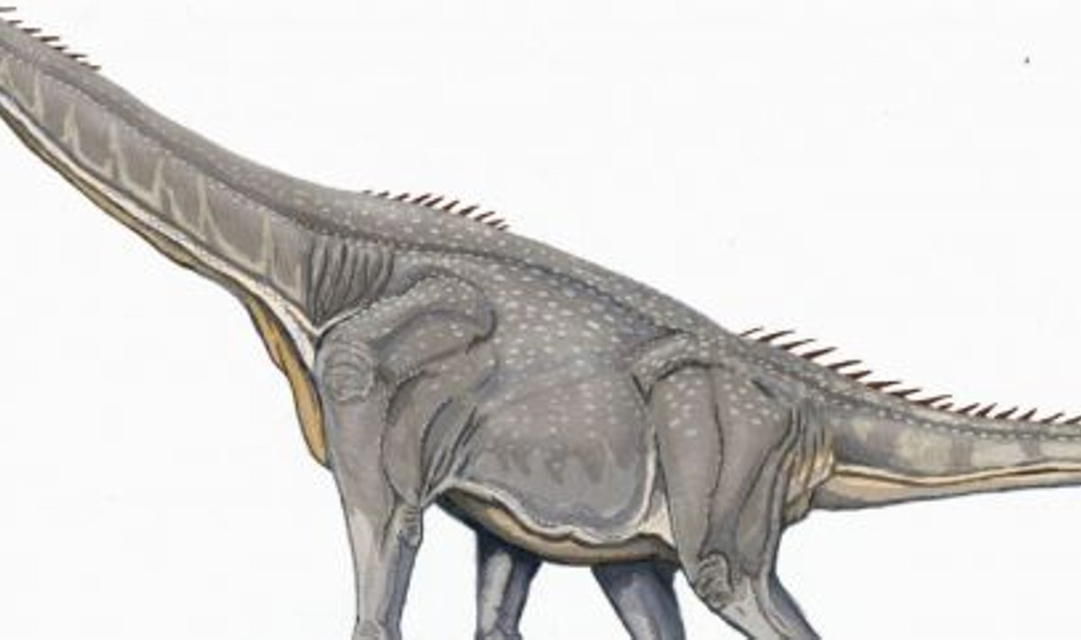 Brahhiosaurus. Allikas: Wikipedia 