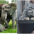 Таллиннский зоопарк проведет по случаю дня рождения День природоведения