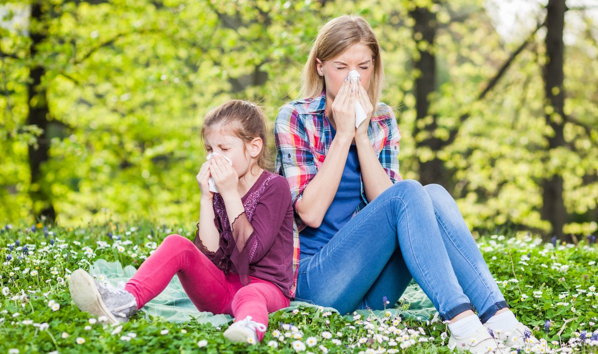 Kevadine allergia kimbutab nii täiekasvanuid kui ka lapsi.