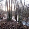 Leili metsalood | Vanas jõesängis laiutab suurvesi