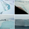 NASA предупредило о возникновении гигантского айсберга в океане