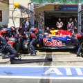 Suri Red Bull Racing F1 meeskonna suuromanik