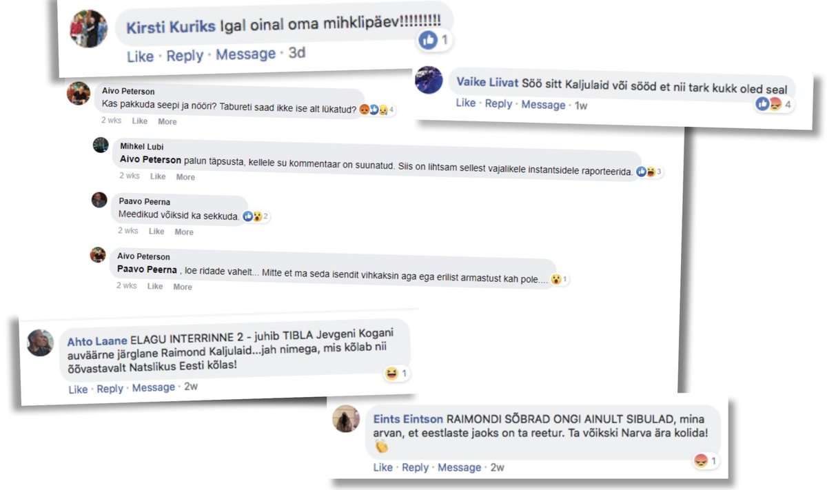 Mõned näited kommentaaridest Raimond Kaljulaidi postituste all.
