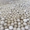 ФОТО И ВИДЕО | „Настоящее чудо природы!“ В морской воде плавают ледяные яйца