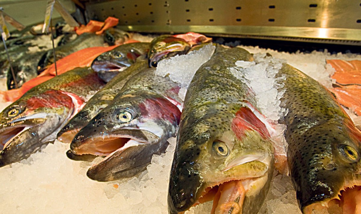 Poes ja turgudel leiab ostja praegu väga suure kalavaliku.