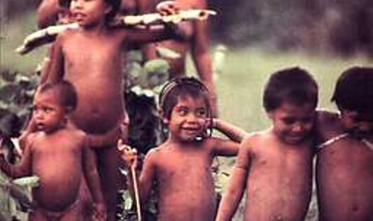 Kummutas kuuldused verejanulistest sÕdalastest: Timothy Asch jälgis 60tel Yanomamo-indiaanlasi patsifisti pilguga. kaader filmist