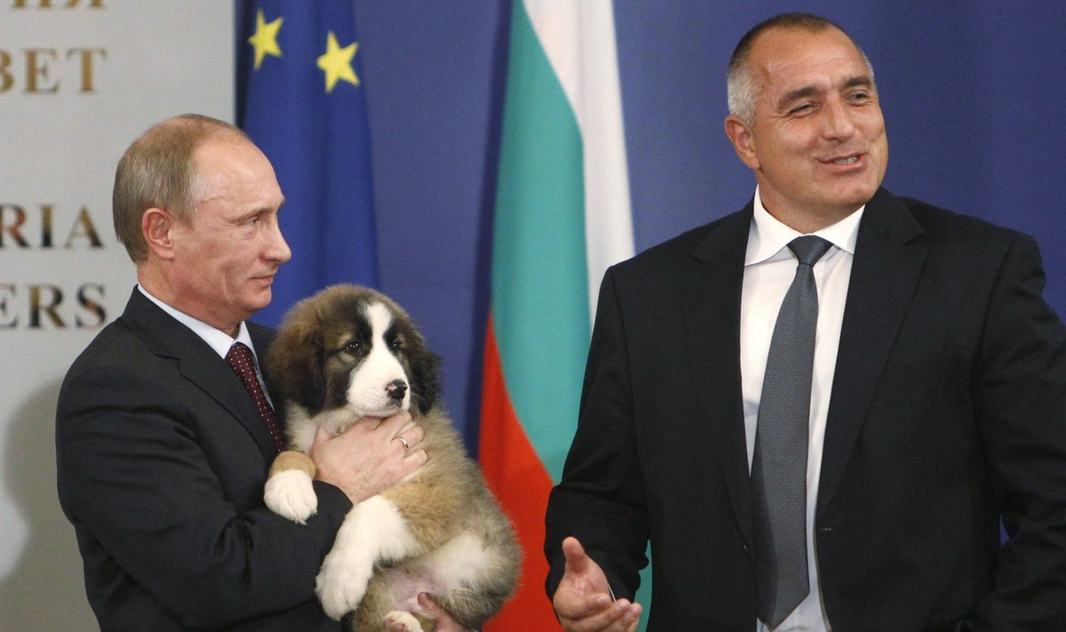 2010. aastal sai Putin Bulgaariat külastades riigi peaministri Bojko Borisovi käes kingituseks lambakoera.