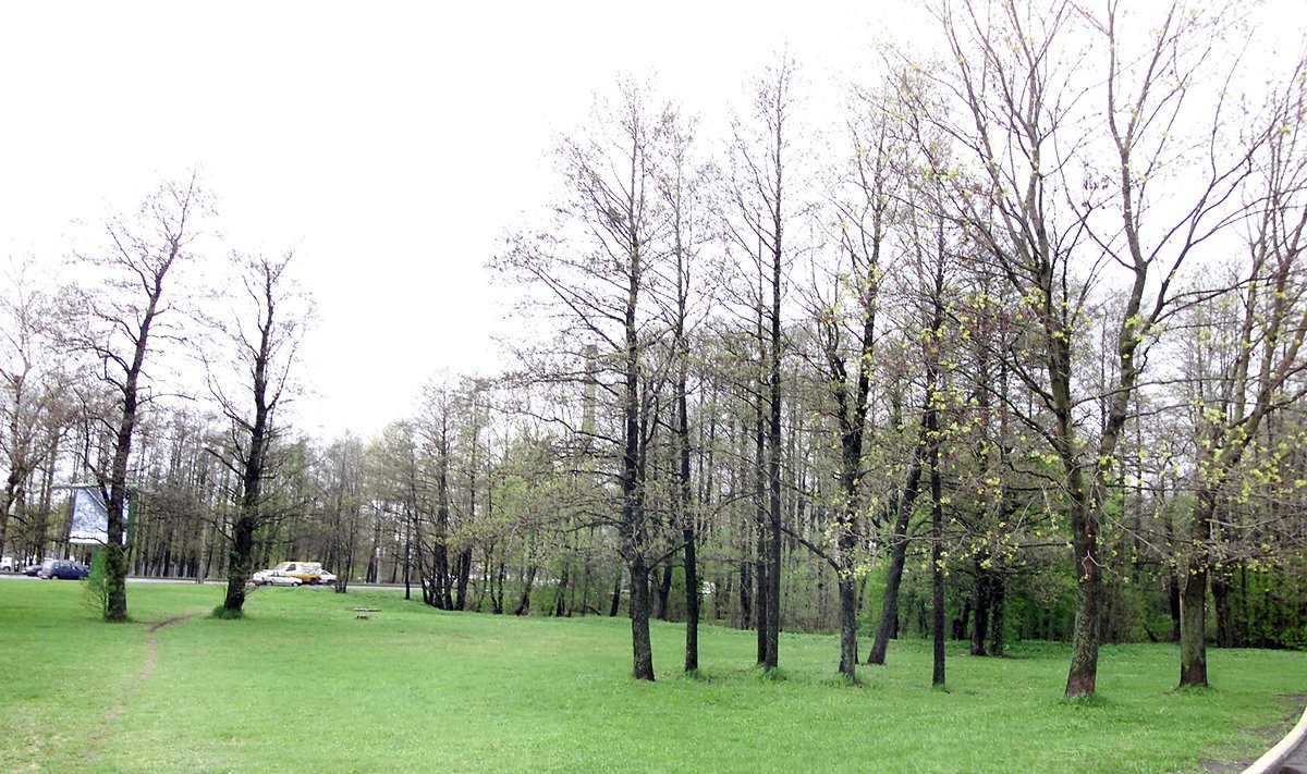 Парк в Таллинне. Иллюстративный снимок