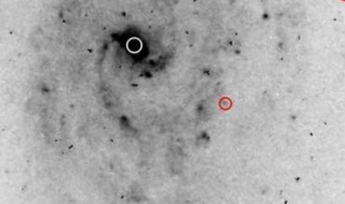 Hubble'i pildil on välja lennutatud must auk tähistatud punase sõõriga. Foto: Hollandi SRON kosmoseuuringute instituut