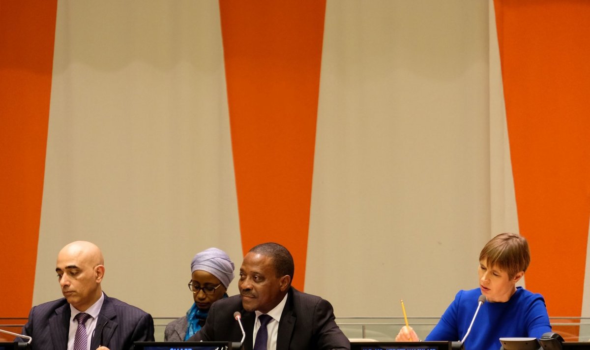 President Kaljulaid kohtumisel Aafrika grupi ÜRO esindajatega