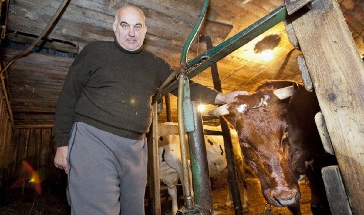 Rootsi talu peremees Leonhard Tenno tahab osta oma karja juurde paar lüpslehma, kuid pärast kuuajast otsimist õnnestus tal saada vaid tiine mullikas.